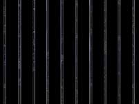 206566 B